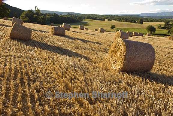 provence hay bales graphic
